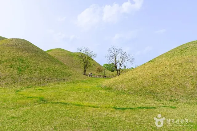 경주 대릉원 사진