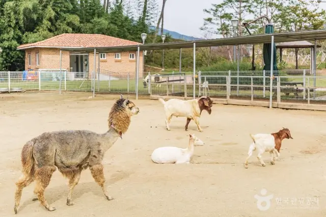액션하우스 사진