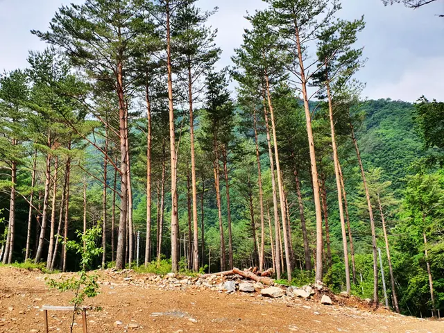 바람부리별밤캠핑장 관광농원 사진