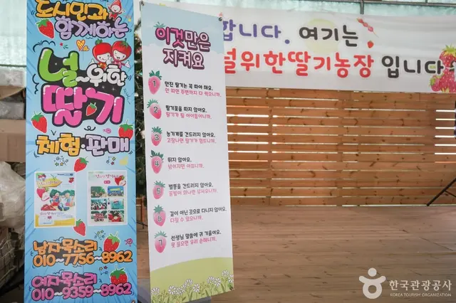 널위한딸기농장 사진