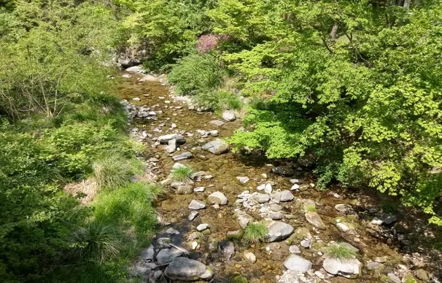 태백고원자연휴양림 사진
