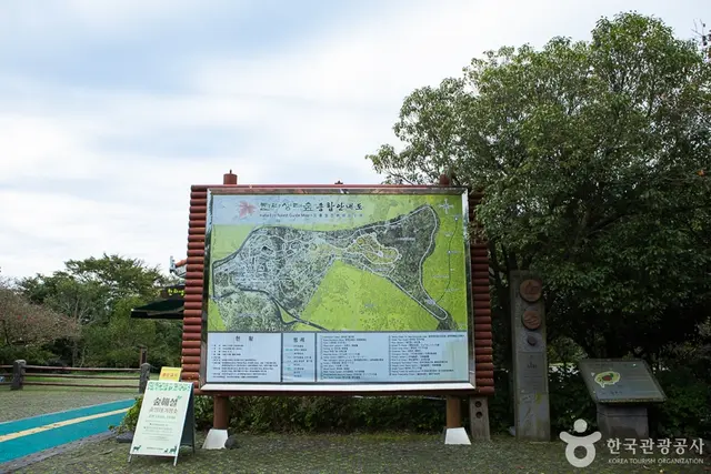 한라생태숲 유아숲체험원 사진
