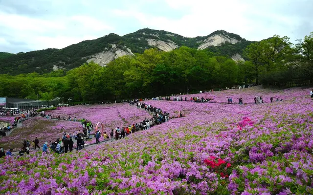 불암산나비정원 사진