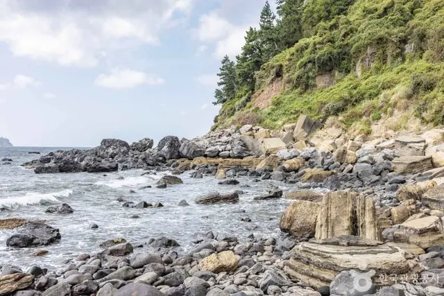 서귀포 패류화석산지 사진