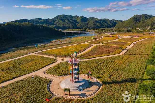 산소카페 청송정원 사진