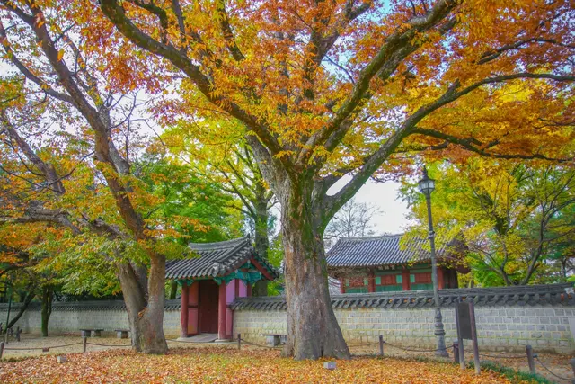 경기전 사진