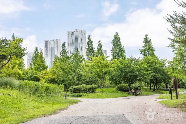 늘솔길공원 사진