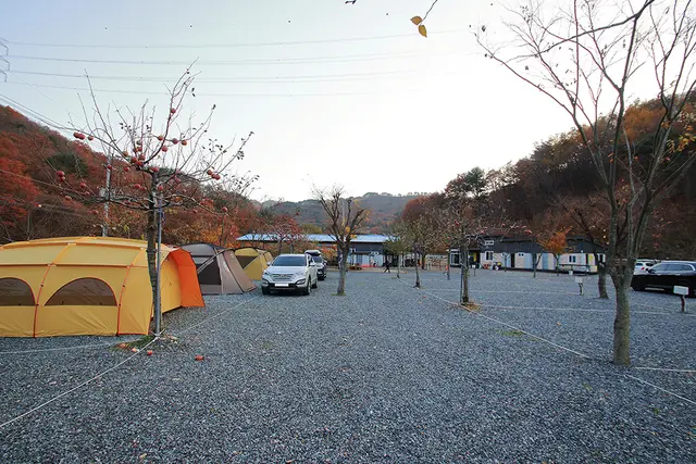 용천토리 오토캠핑장 사진