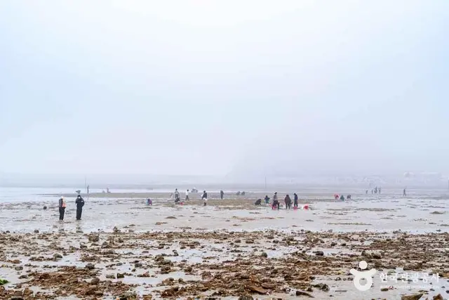 꽃지해수욕장 사진