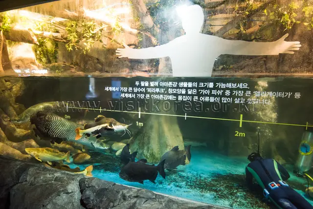 아쿠아플라넷 제주 사진