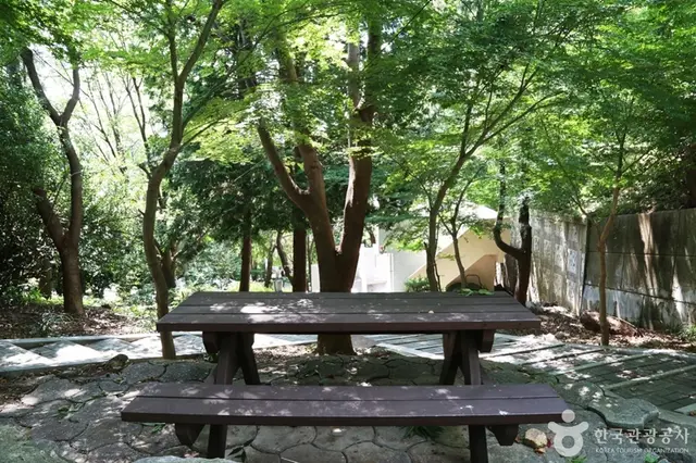 황령산레포츠공원 사진