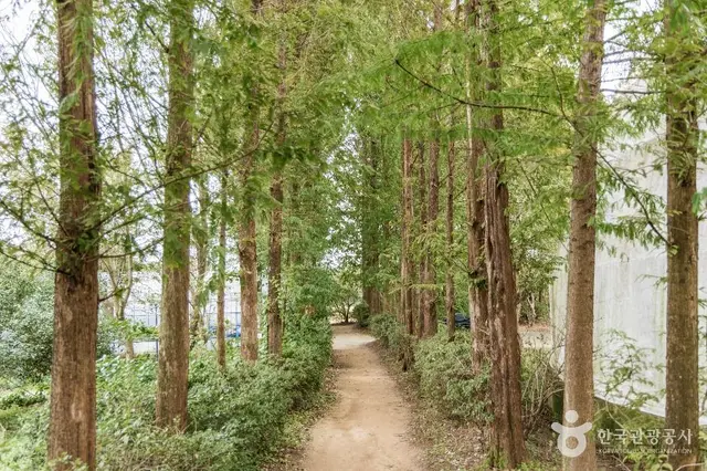 달빛소리 수목원 사진