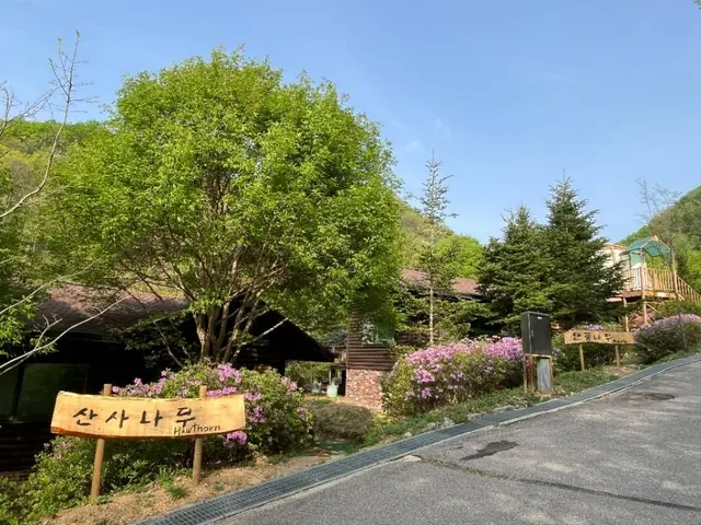 춘천숲자연휴양림 사진