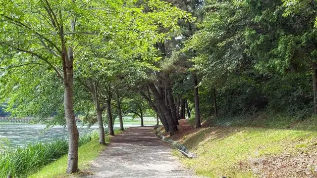 은파호수공원 사진