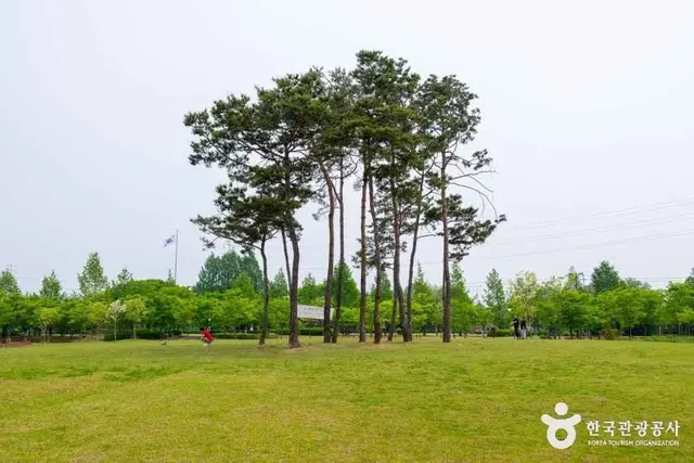 장자호수공원 사진