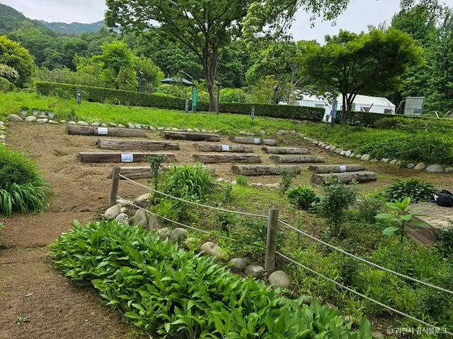 과천야생화자연학습장 사진