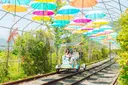 청도 레일바이크 사진