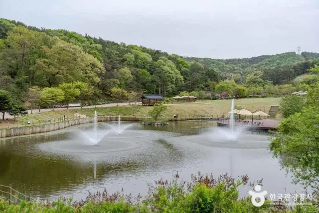 초막골생태공원 사진