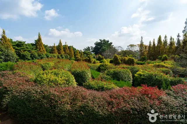 청산수목원 사진