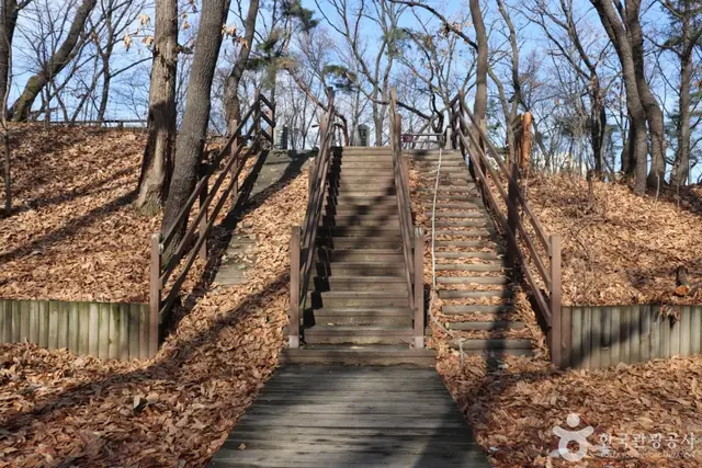 오동근린공원 유아숲체험장 사진