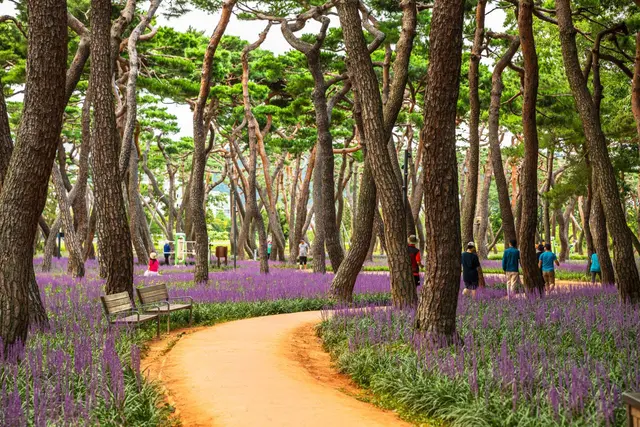 황성공원 사진