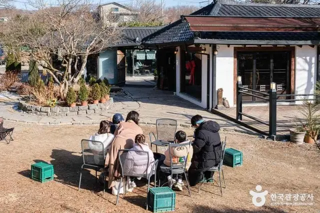 피아나 사진