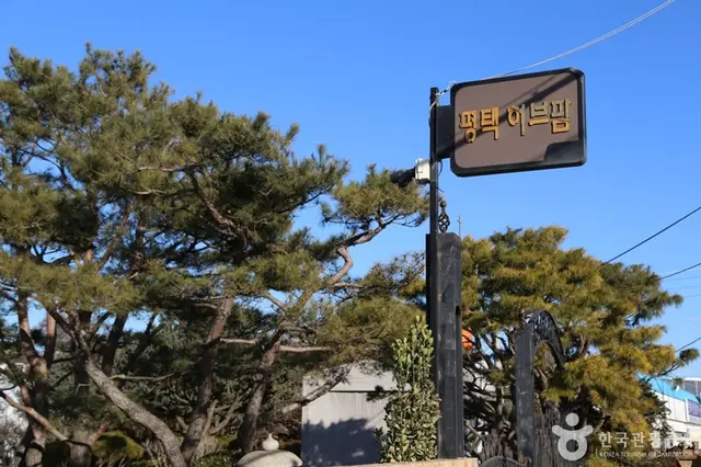 평택허브팜 사진