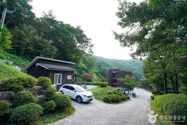 산삼 자연휴양림 사진