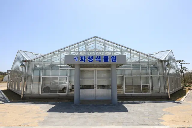 1004섬 분재공원 사진