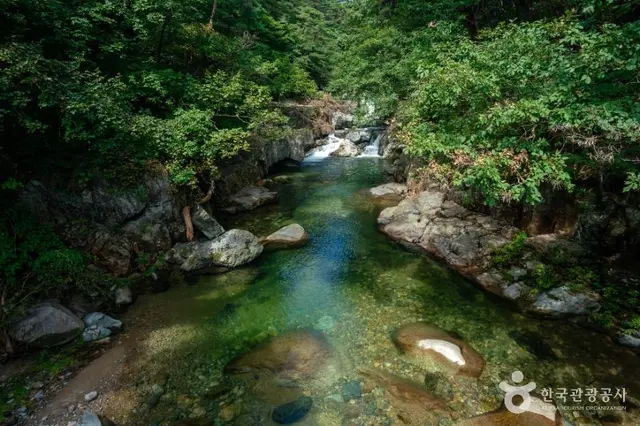 홍류동계곡 사진