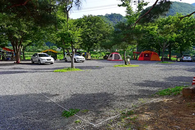 밀양 VIP오토캠핑장 사진