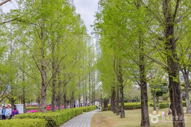 부산시민공원 사진