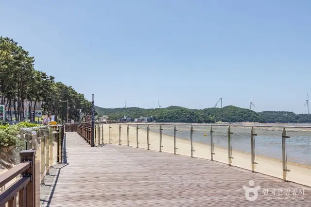 장경리해수욕장 사진