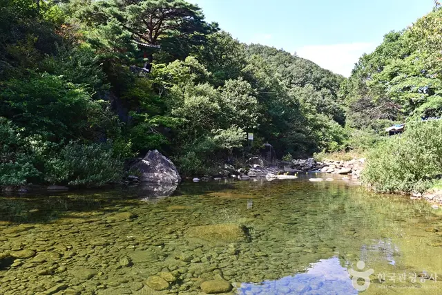 동곡계곡 사진