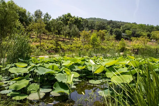 바다향기수목원 사진