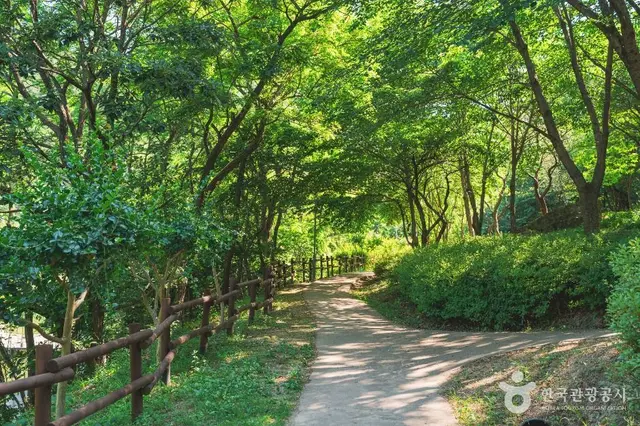 진밭골산림공원 사진