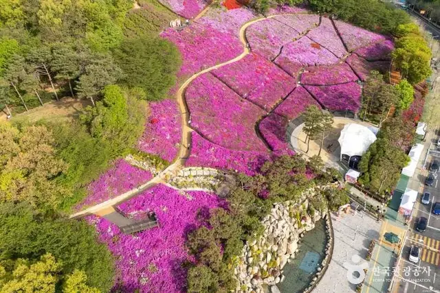 철쭉동산 사진