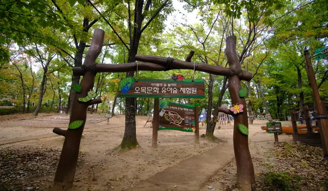 오목문화 유아숲체험원 사진