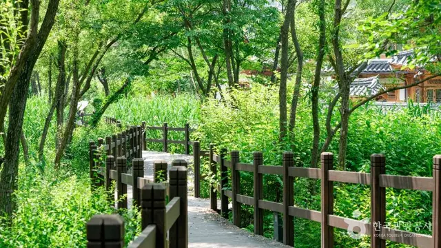 은평한옥마을 사진