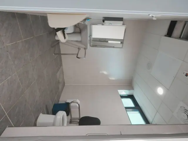 딸기향농촌테마공원 사진