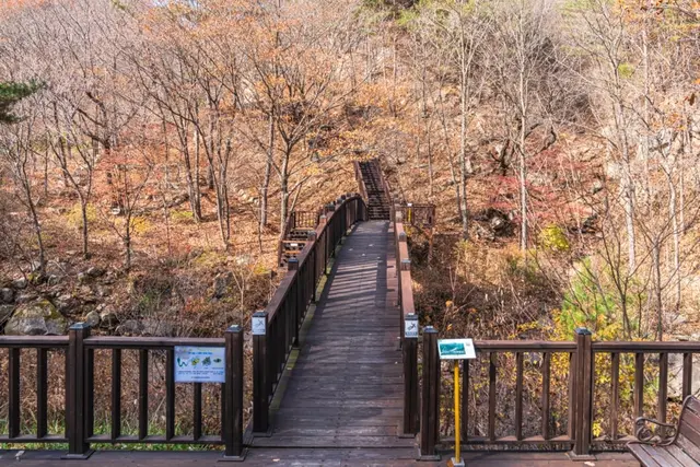 국립 황정산자연휴양림 사진