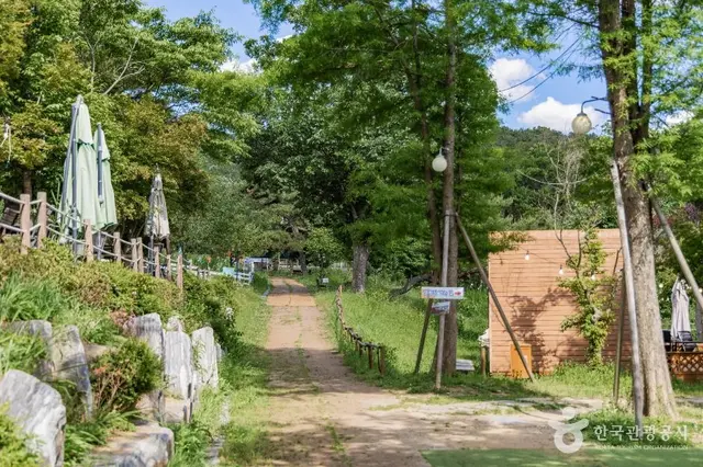 파주팜랜드 사진