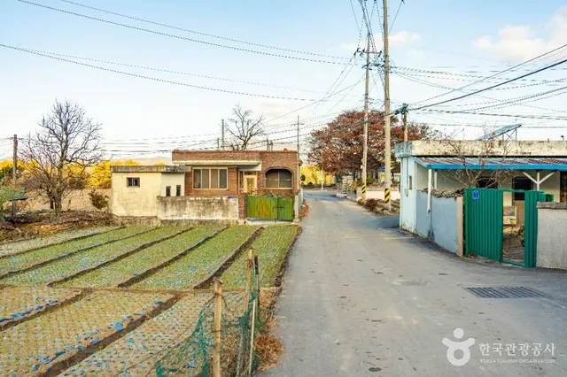 춘향허브마을 사진