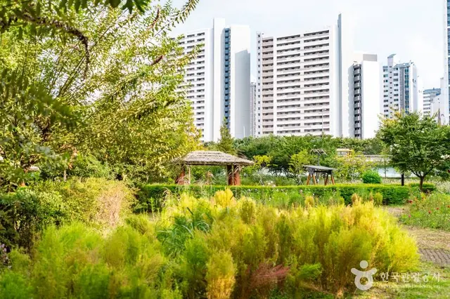 개봉유수지 생태공원 사진
