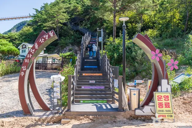 월영산 출렁다리 사진