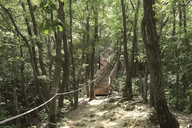 칠갑산도립공원 사진