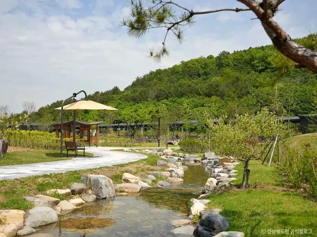 라원 사진