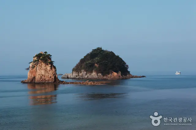 꽃지해수욕장 사진