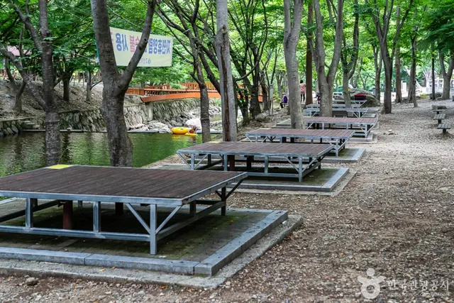 고산자연휴양림 사진