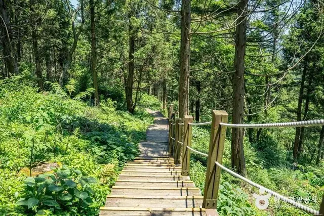거문오름 사진